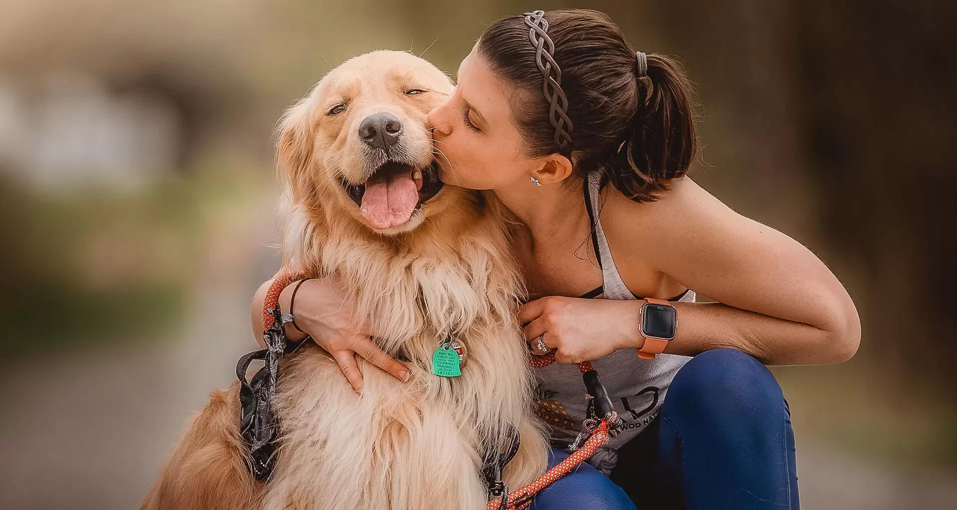 Gatoskilo Petshop Store -Gatoskilo Petshop Store intuizoon