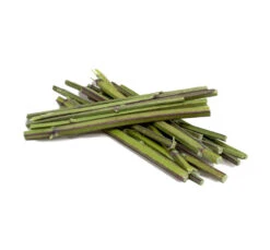 JR Farm Cat Bavarian Catnip Sticks 6gr -Gatoskilo Petshop Store jr farm cat bavarian catnip sticks 6gr 2