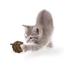 JR Farm Cat Grain Free Nature Ball με Αφυδατωμένη Πάπια 15gr -Gatoskilo Petshop Store jr farm cat grain free nature ball me afidatomeni papia 15gr 2