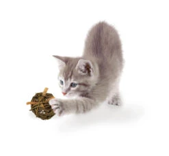 JR Farm Cat Grain Free Nature Ball με Αφυδατωμένο Φιλέτο Κοτόπουλο 15gr -Gatoskilo Petshop Store jr farm cat grain free nature ball me afidatomeno fileto kotopoulo 15gr 2