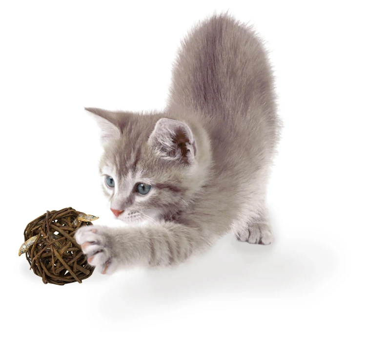 JR Farm Cat Grain Free Nature Ball με Αφυδατωμένο Ψάρι 15gr 5 JR Farm Cat Grain Free Nature Ball με Αφυδατωμένο Ψάρι 15gr - Image 3