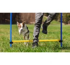 Love Story Εκπαιδευτικό Παιχνίδι Κίνησης 115cm -Gatoskilo Petshop Store love story ekpedeftiko pexnidi kinisis 115cm 1