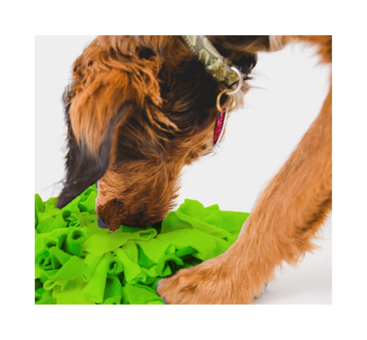 Love Story Παιχνίδι Σκύλου Χαλάκι 42x48x8cm 4 Love Story Παιχνίδι Σκύλου Χαλάκι 42x48x8cm - Image 2