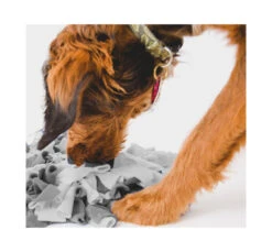 Love Story Παιχνίδι Σκύλου Χαλάκι Raccoon 55x40x4cm -Gatoskilo Petshop Store love story pexnidi skilou xalaki raccoon 55x40x4cm 2