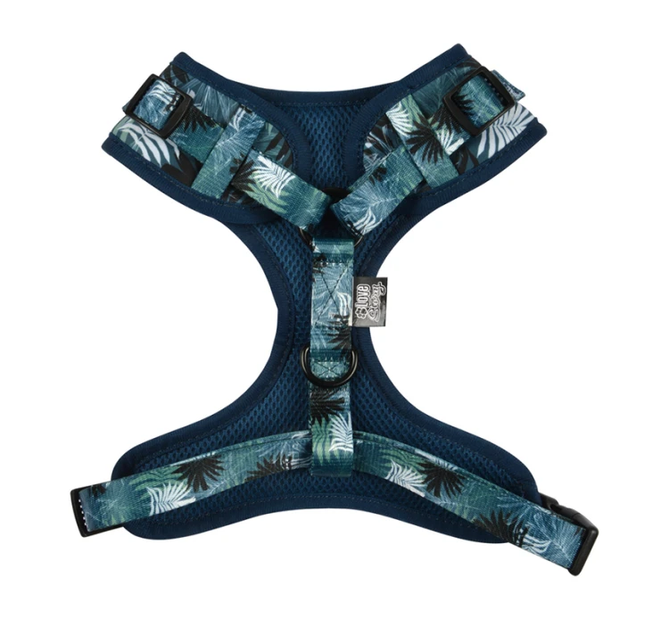 Love Story Σαμαράκι Eden 3 Love Story Σαμαράκι Eden