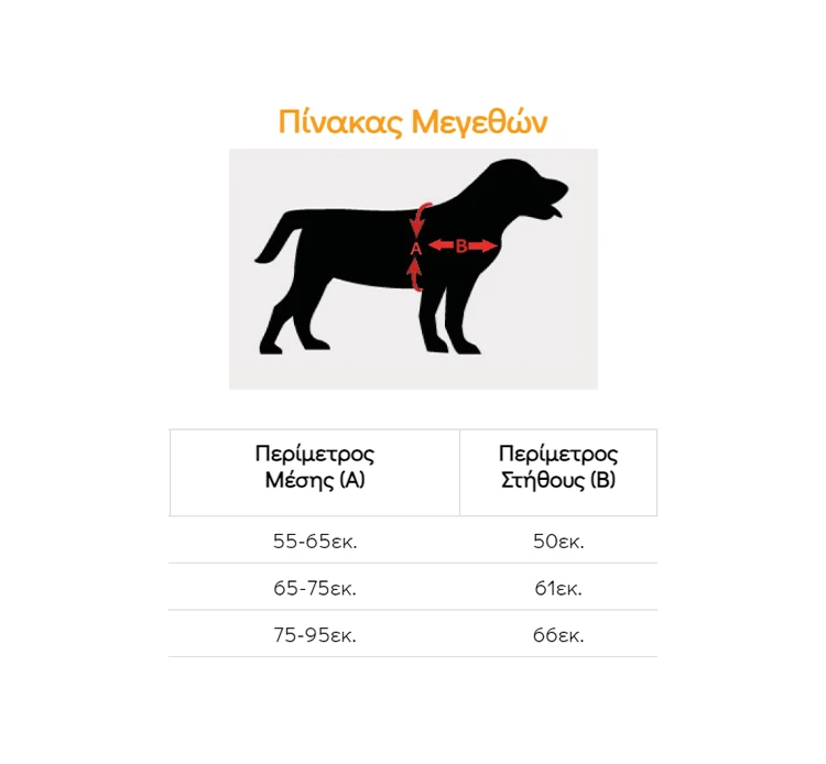 Love Story Σαμαράκι Norwegian Κόκκινο 4 Love Story Σαμαράκι Norwegian Κόκκινο - Image 2