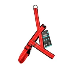 Love Story Σαμαράκι Norwegian Κόκκινο 7 Love Story Σαμαράκι Norwegian Κόκκινο -Gatoskilo Petshop Store love story samaraki norwegian kokkino 2