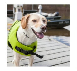 Love Story Σωσίβιο Σκύλου Φωσφορίζον 11 Love Story Σωσίβιο Σκύλου Φωσφορίζον -Gatoskilo Petshop Store love story sosivio skilou fosforizon 2