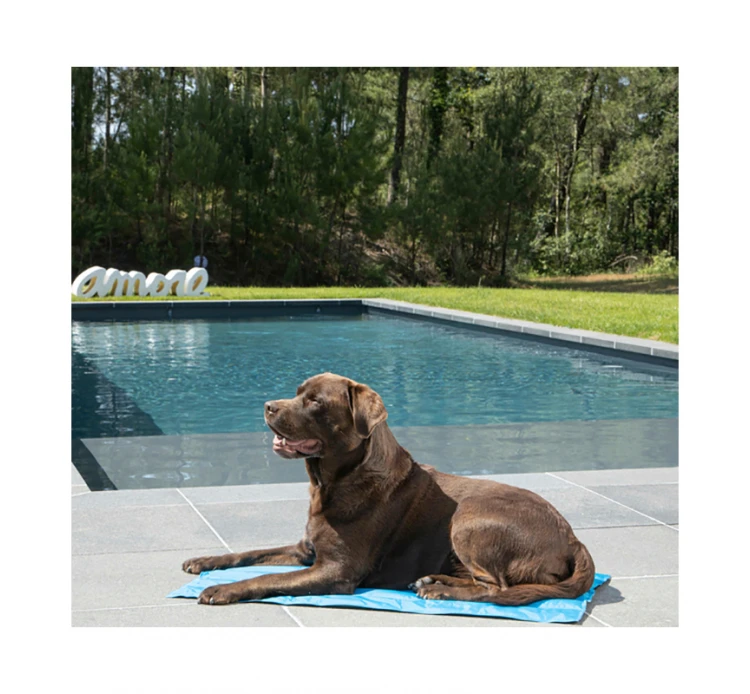 Love Story Στρώμα Ψύξης Σκύλου - Γάτας Μπλε-Γκρι 4 Love Story Στρώμα Ψύξης Σκύλου - Γάτας Μπλε-Γκρι - Image 2