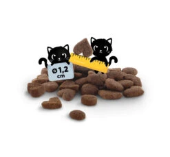 Lucky Lou Food Code Adult Πουλερικά & Φρέσκια Πάπια 340gr 10 Lucky Lou Food Code Adult Πουλερικά & Φρέσκια Πάπια 340gr -Gatoskilo Petshop Store lucky lou food code adult poulerika freskia papia 340gr 3