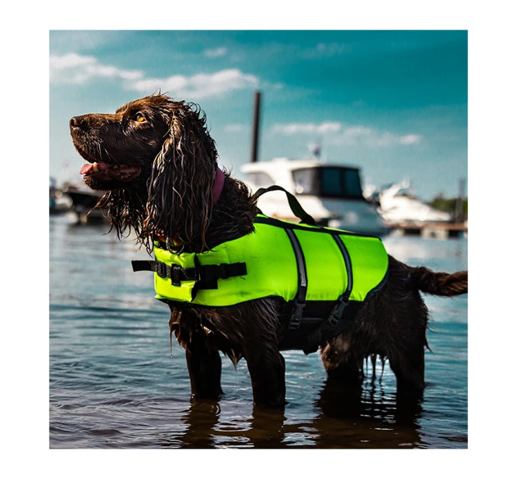 Nobby Ανατομικό Σωσίβιο Σκύλου Κίτρινο 4 Nobby Ανατομικό Σωσίβιο Σκύλου Κίτρινο - Image 2