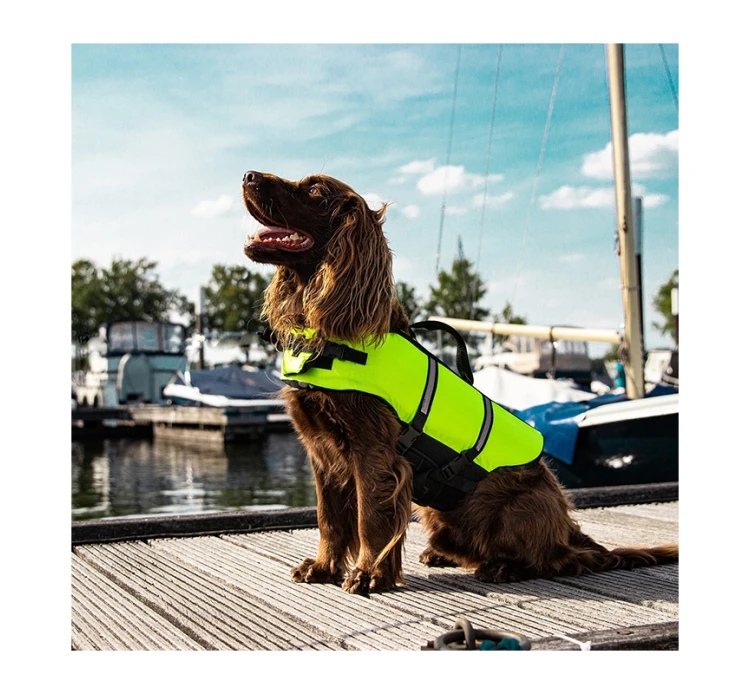 Nobby Ανατομικό Σωσίβιο Σκύλου Κίτρινο 5 Nobby Ανατομικό Σωσίβιο Σκύλου Κίτρινο - Image 3