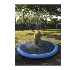 Nobby Πισίνα Συντριβάνι 150cm 9 Nobby Πισίνα Συντριβάνι 150cm -Gatoskilo Petshop Store nobby pisina sintrivani 150cm 3