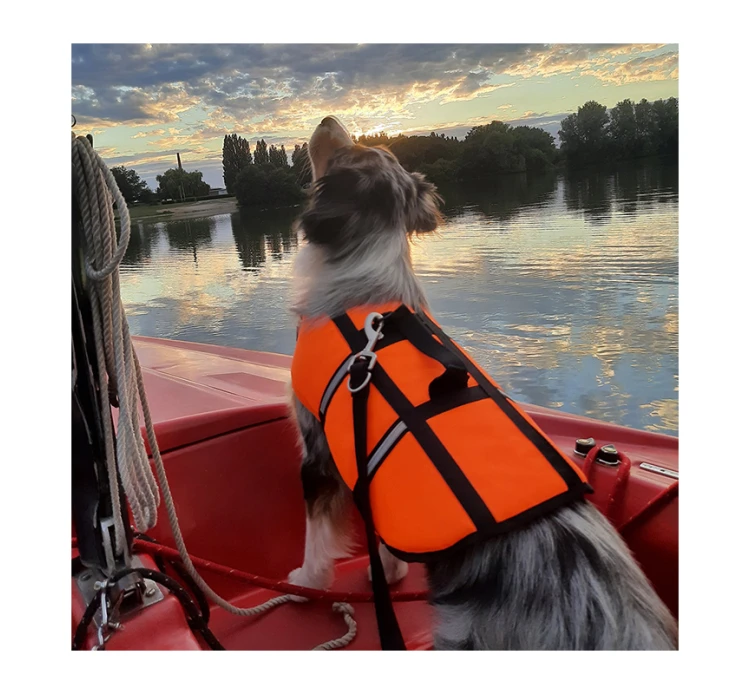 Nobby Σωσίβιο Σκύλου Πορτοκαλί 4 Nobby Σωσίβιο Σκύλου Πορτοκαλί - Image 2