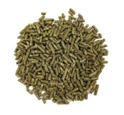 Oxbow Essentials Τροφή για Ινδικά Χοιρίδια Adult 2.28kg 5 Oxbow Essentials Τροφή για Ινδικά Χοιρίδια Adult 2.28kg -Gatoskilo Petshop Store oxbow essentials trofi gia indika xiridia adult 228kg 1