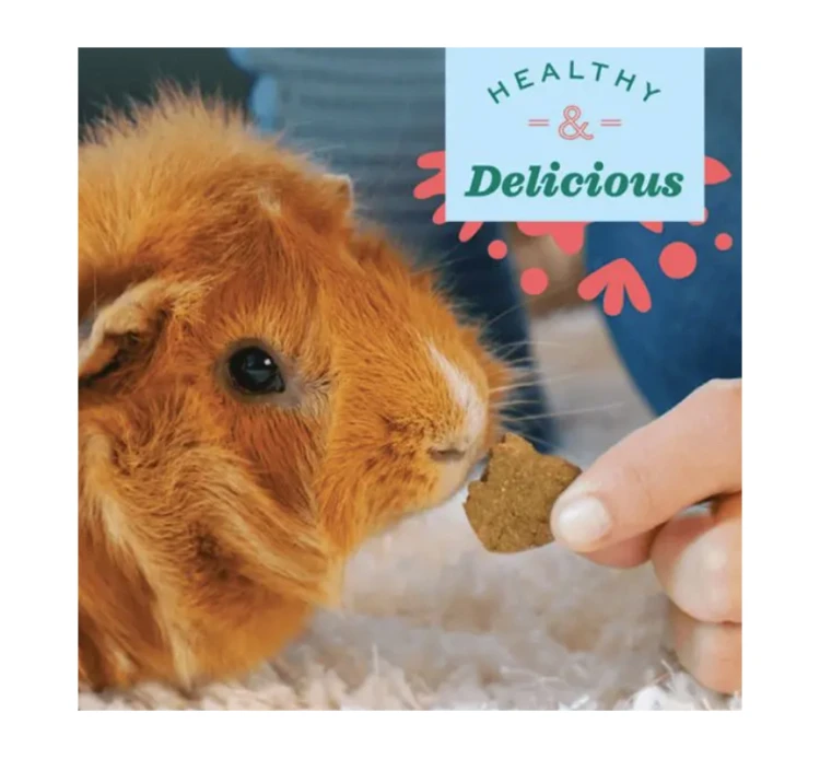 Oxbow Λιχουδιές Baked Simple Rewards με Κράνμπερι 56gr 5 Oxbow Λιχουδιές Baked Simple Rewards με Κράνμπερι 56gr - Image 3