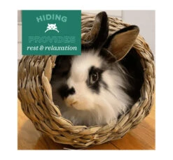 Oxbow Λιχουδιές Timothy Club Bungalow Medium 23x25x20cm -Gatoskilo Petshop Store oxbow lixoudies timothy club bungalow medium 23x25x20cm 1