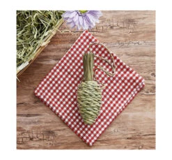 Oxbow Λιχουδιές Timothy Club Carrot 22x6cm -Gatoskilo Petshop Store oxbow lixoudies timothy club carrot 22x6cm 1