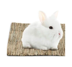 Oxbow Λιχουδιές Timothy Club Mat Large 40x29x1.9cm -Gatoskilo Petshop Store oxbow lixoudies timothy club mat large 40x29x19cm 1