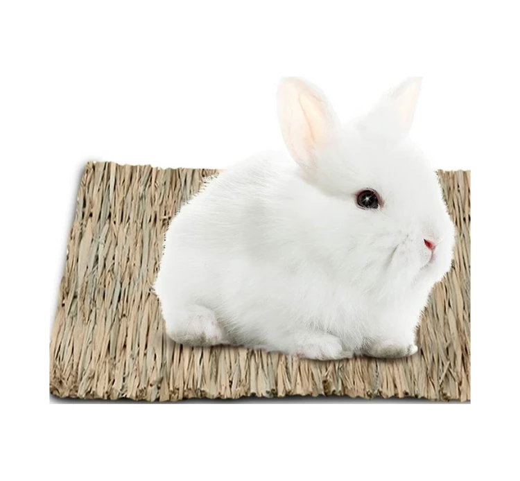 Oxbow Λιχουδιές Timothy Club Mat Medium 27x19x1.9cm 4 Oxbow Λιχουδιές Timothy Club Mat Medium 27x19x1.9cm - Image 2