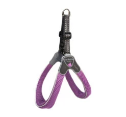 Pet Camelot Σαμαράκι Σκύλου Cinquetorri 15 Pet Camelot Σαμαράκι Σκύλου Cinquetorri -Gatoskilo Petshop Store pet camelot samaraki skilou cinquetorri 2