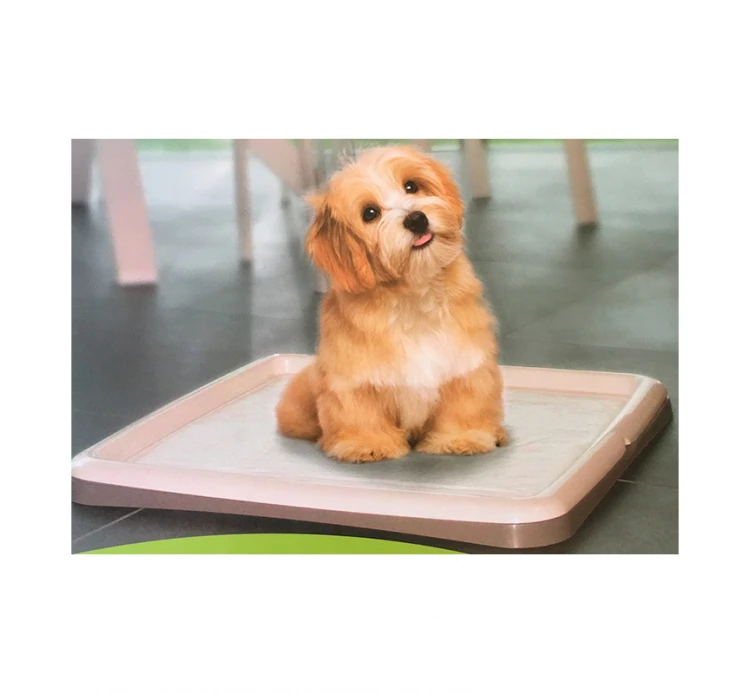 Pet Camelot Βάση Εκπαιδευτικής Πάνας 53x53cm 4 Pet Camelot Βάση Εκπαιδευτικής Πάνας 53x53cm - Image 2