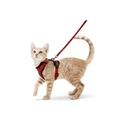 Pet Interest Σαμαράκι Γάτας Mesh με Οδηγό 1.20m 13 Pet Interest Σαμαράκι Γάτας Mesh με Οδηγό 1.20m -Gatoskilo Petshop Store pet interest samaraki gatas mesh me odigo 120m 3