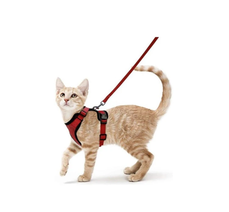 Pet Interest Σαμαράκι Γάτας Mesh με Οδηγό 1.20m 6 Pet Interest Σαμαράκι Γάτας Mesh με Οδηγό 1.20m - Image 4