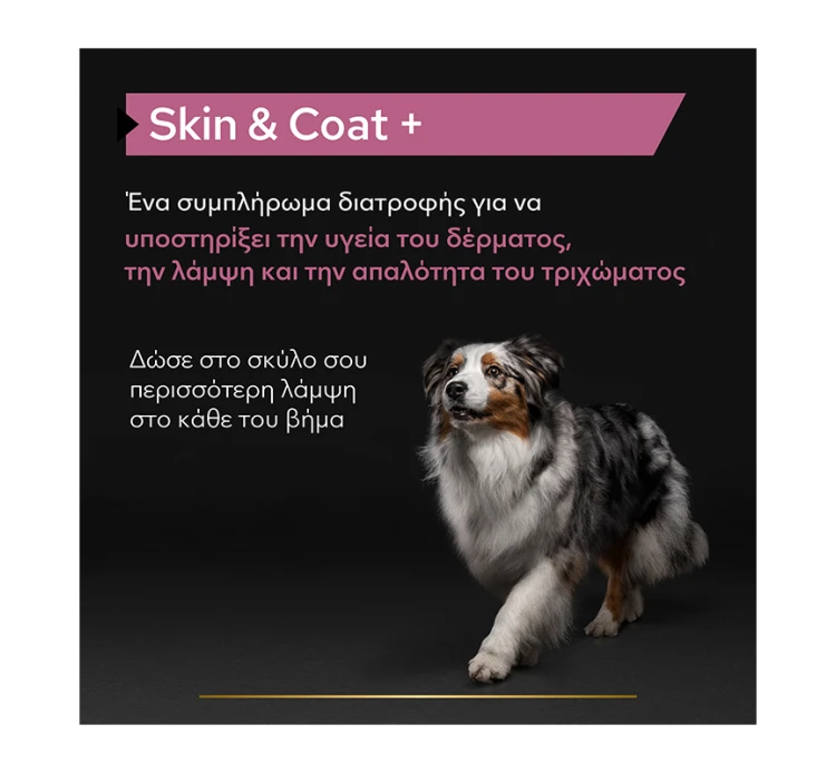Purina Pro Plan Dog Skin & Coat+ Συμπλήρωμα Διατροφής σε Έλαιο 250ml 5 Purina Pro Plan Dog Skin & Coat+ Συμπλήρωμα Διατροφής σε Έλαιο 250ml - Image 3