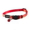 Rogz Κολάρο - Περιλαίμιο Γάτας Beltz Kiddy Cat 16.5-23cm 1 Rogz Κολάρο - Περιλαίμιο Γάτας Beltz Kiddy Cat 16.5-23cm -Gatoskilo Petshop Store rogz kolaro perilaimio gatas beltz kiddy cat 165 23cm