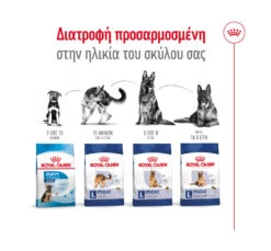 Royal Canin Maxi Ageing 8+ 3kg 13 Royal Canin Maxi Ageing 8+ 3kg -Gatoskilo Petshop Store royal canin maxi ageing 8 3kg 5