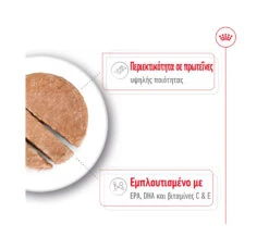 Royal Canin Medium Ageing Loaf 410gr 9 Royal Canin Medium Ageing Loaf 410gr -Gatoskilo Petshop Store royal canin medium ageing loaf 410gr 2