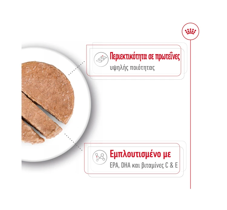 Royal Canin Medium Ageing Loaf 410gr 5 Royal Canin Medium Ageing Loaf 410gr - Image 3