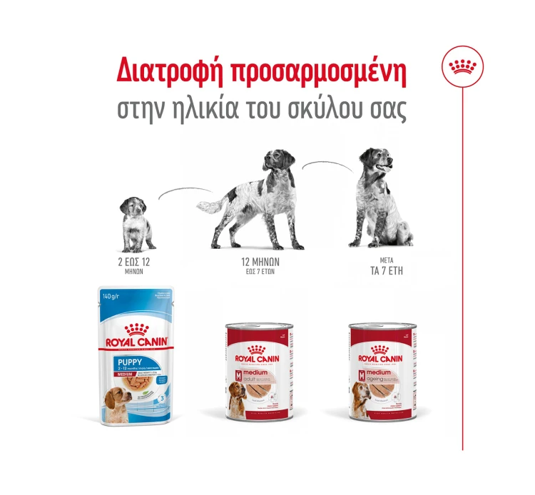 Royal Canin Medium Ageing Loaf 410gr 7 Royal Canin Medium Ageing Loaf 410gr - Image 5