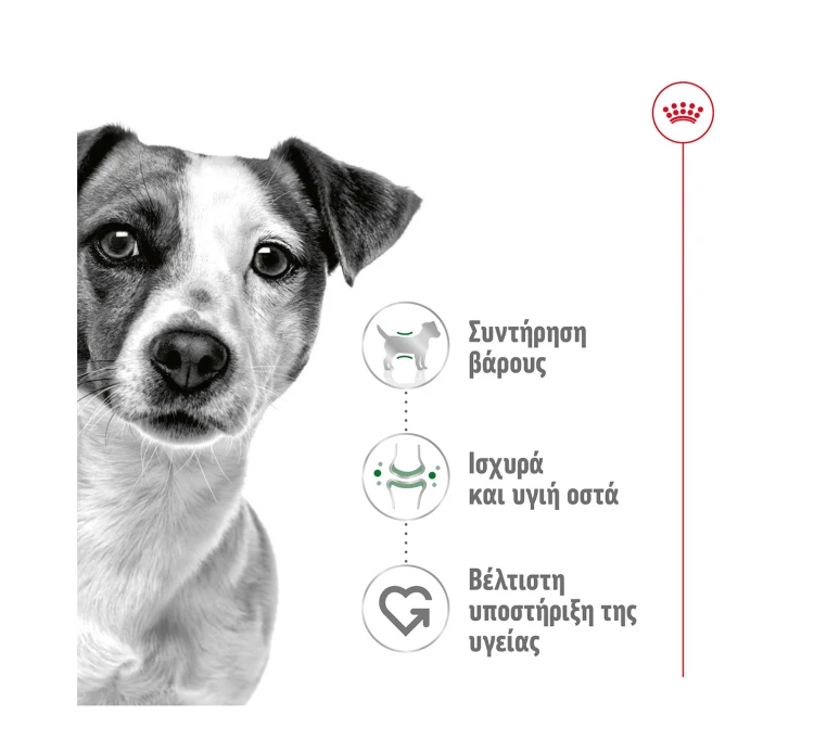 Royal Canin Mini Adult Poultry 4kg 5 Royal Canin Mini Adult Poultry 4kg - Image 3