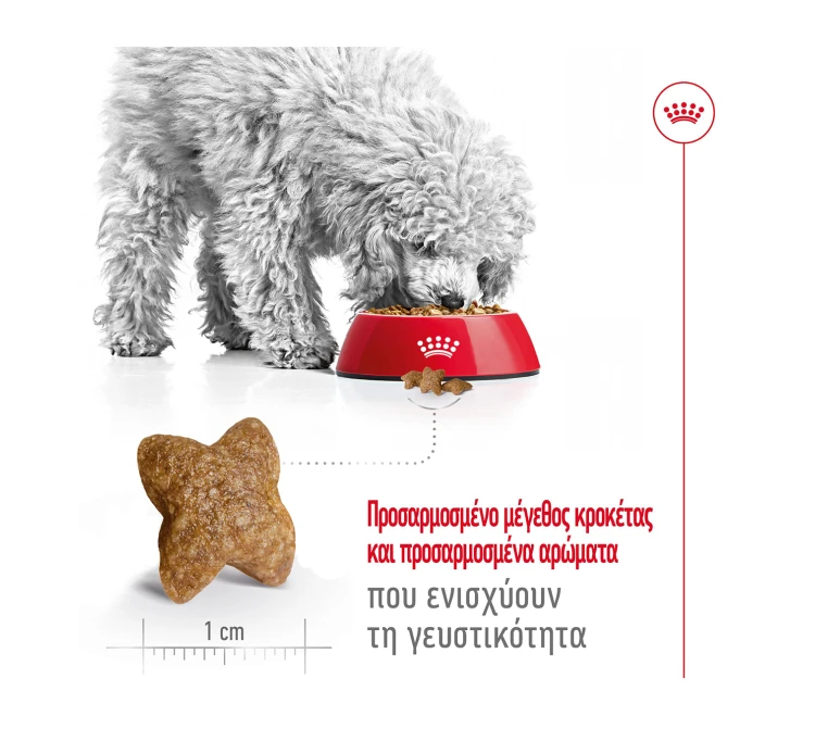 Royal Canin Mini Adult Poultry 4kg 6 Royal Canin Mini Adult Poultry 4kg - Image 4