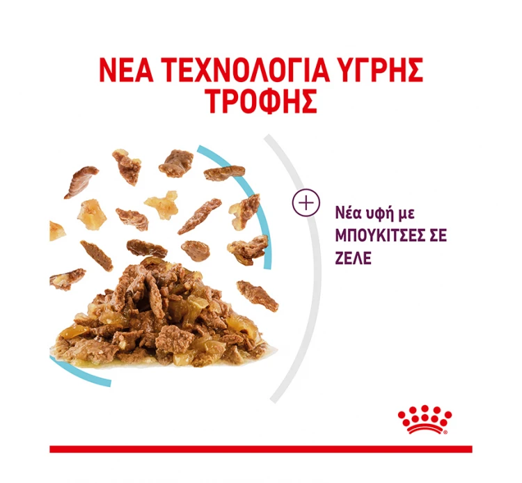 Royal Canin Sensory Taste Jelly Κομματάκια σε Ζελέ 85gr 4 Royal Canin Sensory Taste Jelly Κομματάκια σε Ζελέ 85gr - Image 2