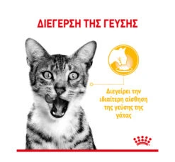 Royal Canin Sensory Taste Jelly Κομματάκια σε Ζελέ 85gr 8 Royal Canin Sensory Taste Jelly Κομματάκια σε Ζελέ 85gr -Gatoskilo Petshop Store royal canin sensory taste jelly kommatakia se zele 85gr 2