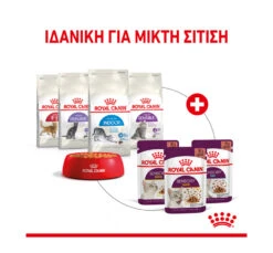 Royal Canin Sensory Taste Jelly Κομματάκια σε Ζελέ 85gr 9 Royal Canin Sensory Taste Jelly Κομματάκια σε Ζελέ 85gr -Gatoskilo Petshop Store royal canin sensory taste jelly kommatakia se zele 85gr 3