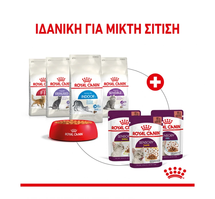 Royal Canin Sensory Taste Jelly Κομματάκια σε Ζελέ 85gr 6 Royal Canin Sensory Taste Jelly Κομματάκια σε Ζελέ 85gr - Image 4