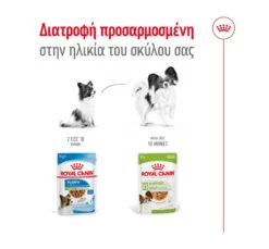 Royal Canin XSmall Adult Gravy 85gr -Gatoskilo Petshop Store royal canin xsmall adult gravy 85gr 3
