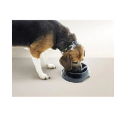 Savic Slow Down Μπολ για Λαίμαργα Σκυλάκια -Gatoskilo Petshop Store savic slow down bol gia lemarga skilakia 2