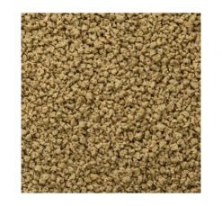 Sera ImmunPro Nature Τροφή για Τροπικά Ψάρια σε Κόκκους 100ml 5 Sera ImmunPro Nature Τροφή για Τροπικά Ψάρια σε Κόκκους 100ml -Gatoskilo Petshop Store sera immunpro nature trofi gia tropika psaria se kokkous 100ml 1