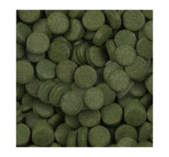 Sera Spirulina Tabs Nature Τροφή για Τροπικά Ψάρια σε Ταμπλέτες 24tabs 5 Sera Spirulina Tabs Nature Τροφή για Τροπικά Ψάρια σε Ταμπλέτες 24tabs -Gatoskilo Petshop Store sera spirulina tabs nature trofi gia tropika psaria se tampletes 24tabs 1