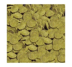 Sera Wels-Chips Nature Τροφή για Τροπικά Ψάρια σε Chips 100ml 5 Sera Wels-Chips Nature Τροφή για Τροπικά Ψάρια σε Chips 100ml -Gatoskilo Petshop Store sera wels chips nature trofi gia tropika psaria se chips 100ml 1