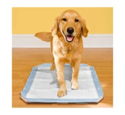 Simple Solution Βάση Εκπαιδευτικής Πάνας 53x53cm 9 Simple Solution Βάση Εκπαιδευτικής Πάνας 53x53cm -Gatoskilo Petshop Store simple solution vasi ekpedeftikis panas 53x53cm 3