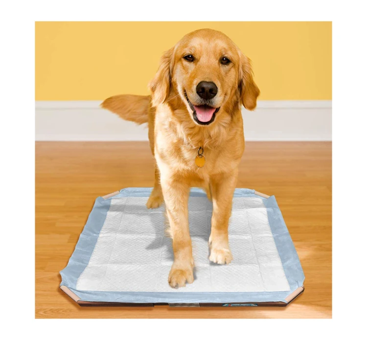 Simple Solution Βάση Εκπαιδευτικής Πάνας 53x53cm 6 Simple Solution Βάση Εκπαιδευτικής Πάνας 53x53cm - Image 4