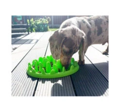 Company Of Animals Slow Feeder Μπωλ για Λαιμαργα Σκυλάκια 12 Company Of Animals Slow Feeder Μπωλ για Λαιμαργα Σκυλάκια -Gatoskilo Petshop Store slow feeder bol gia lemarga skilakia 4