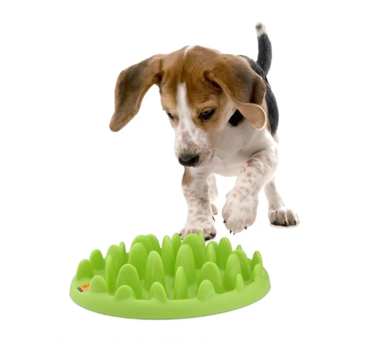 Company Of Animals Slow Feeder Μπωλ για Λαιμαργα Σκυλάκια 8 Company Of Animals Slow Feeder Μπωλ για Λαιμαργα Σκυλάκια - Image 6