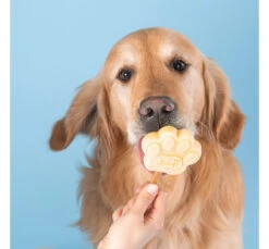 Smoofl Adult Μείγμα για Παγωτό Σκύλου Φυστικοβούτυρο 100gr & 10 Sticks -Gatoskilo Petshop Store smoofl adult migma gia pagoto skilou fistikovoutiro 100gr 10 sticks 3